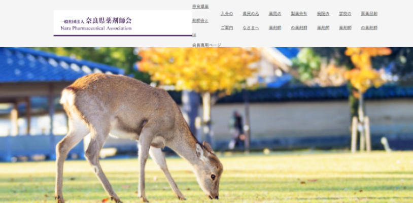 薬剤師会ページへ